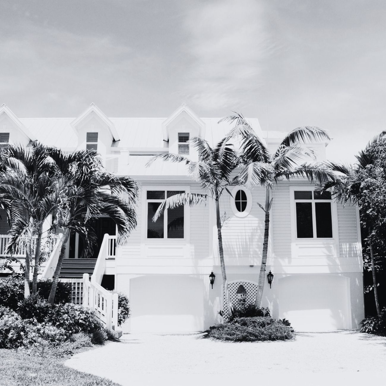 a house with palm trees
